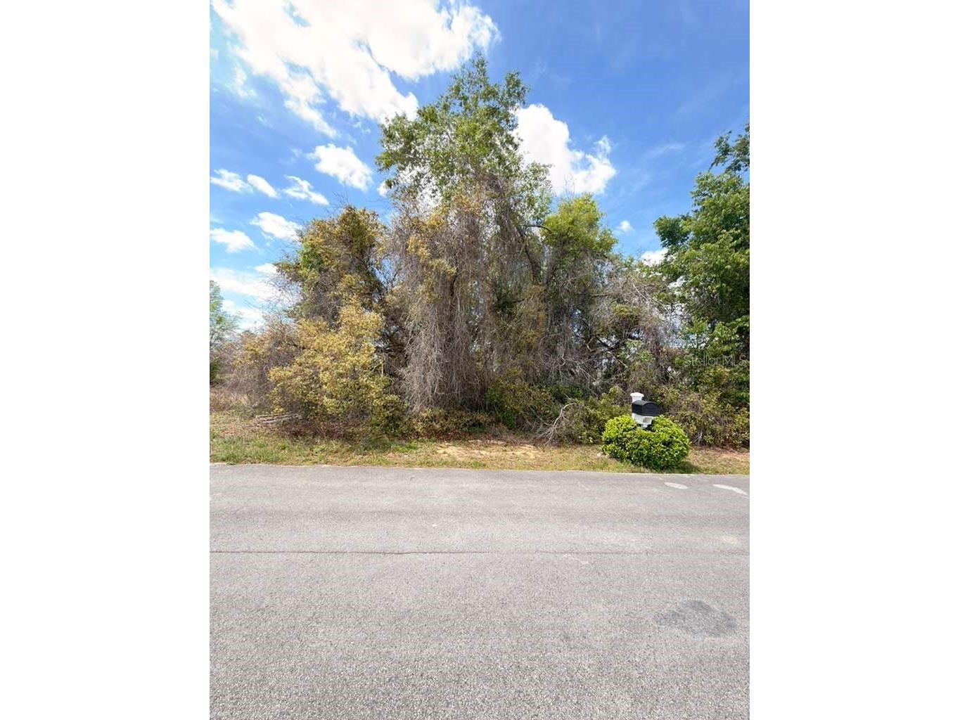 SW 21 Court Ocala FL 34473 O6394921 image2