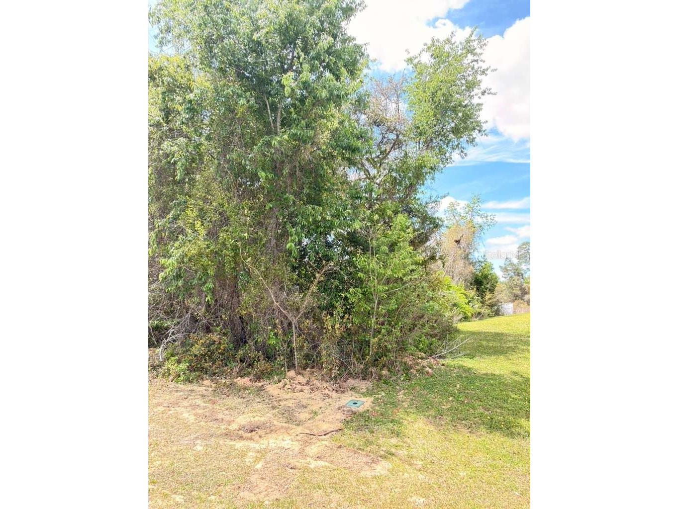 SW 21 Court Ocala FL 34473 O6394921 image4