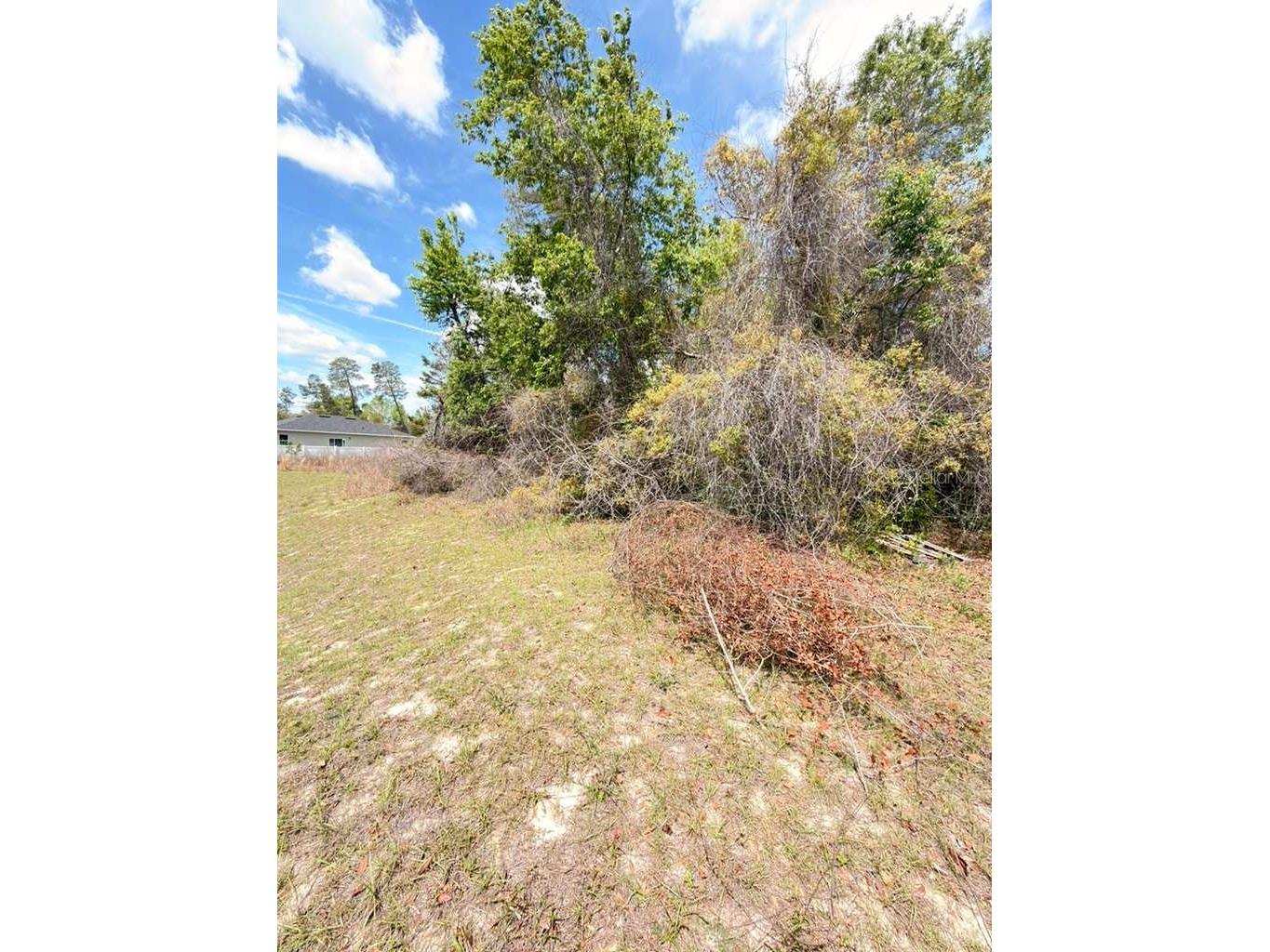 SW 21 Court Ocala FL 34473 O6394921 image5