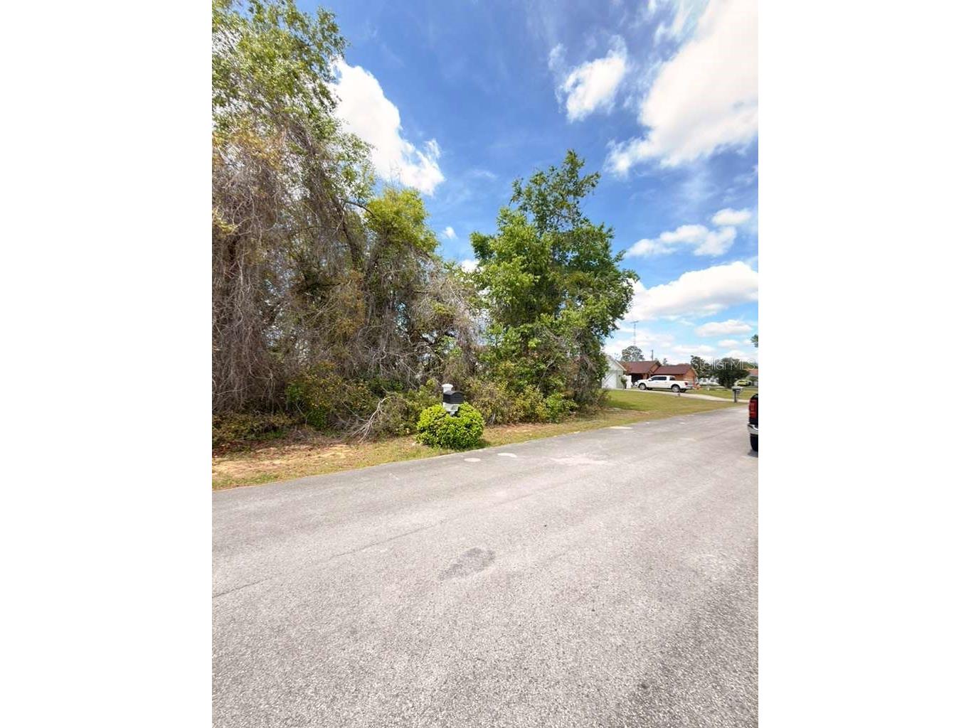 SW 21 Court Ocala FL 34473 O6394921 image6