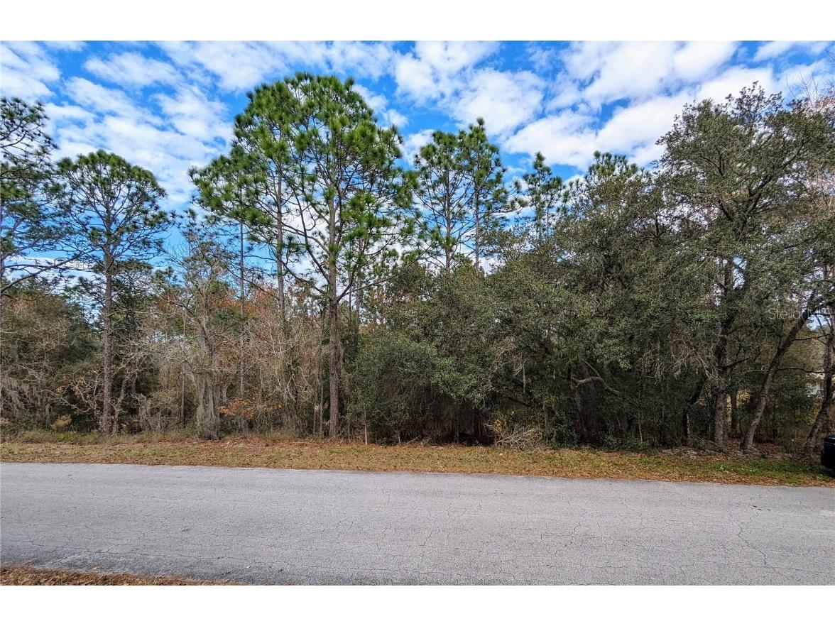 SW 211th Circle Dunnellon FL 34431 OM671537 image1