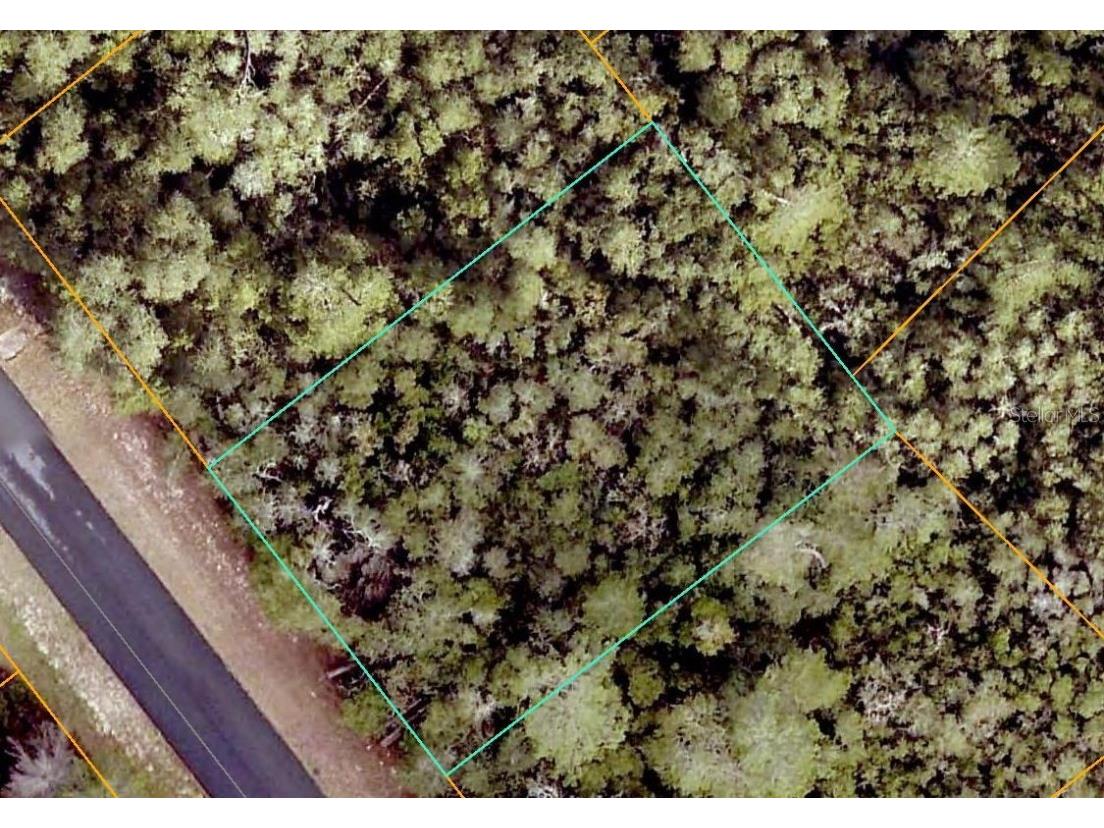 SW 21st Circle Ocala FL 34473 G5102337 image1