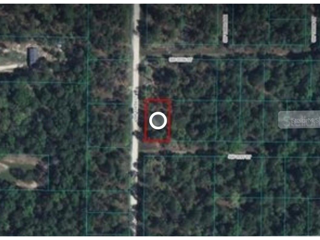 SW 21st Street #11-12 Ocala FL 34481 O6198820 image1