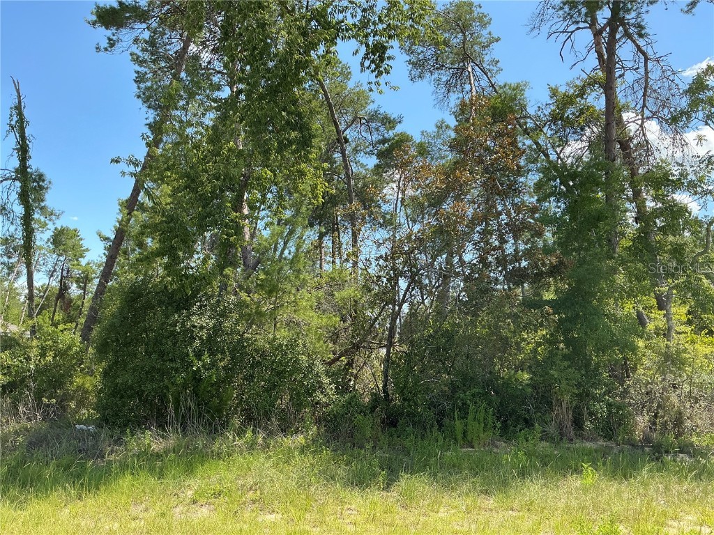 SW 21st Terrace Ocala FL 34473 OM706578 image1