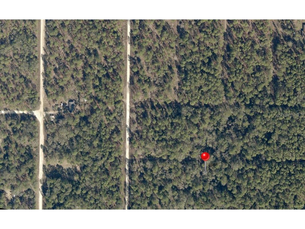 SW 22nd Street Ocala FL 34481 S5147193 image5