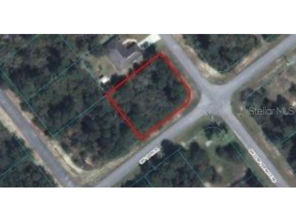 06 SW 22nd Terrace Road Ocala FL 34473 T3518370 image1