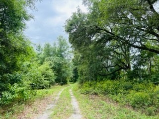 SW 25th Avenue Bell FL 32619 GC512638 image1