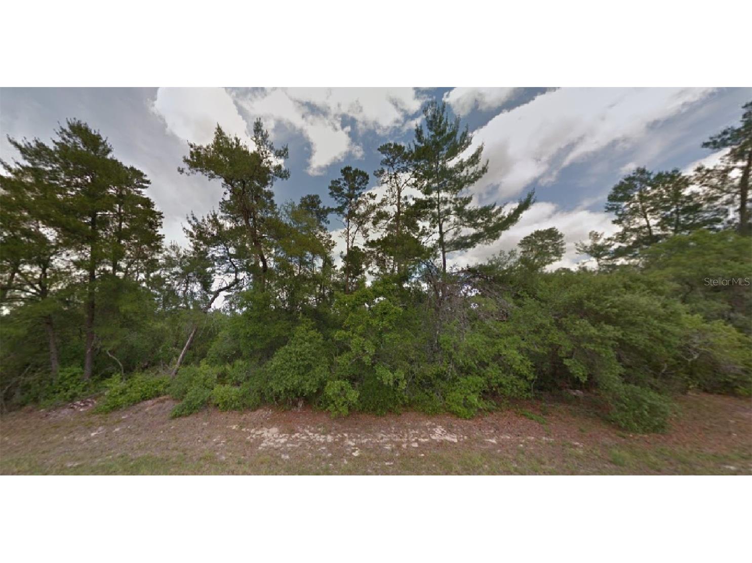 SW 25th Circle Ocala FL 34473 O6072996 image1