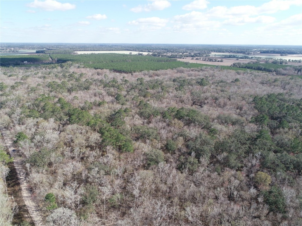 SW 25th Place Trenton FL 32693 O6302221 image1