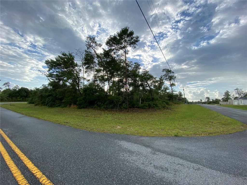 Sw 25th Terrace Rd Ocala FL 34473 OM659863 image1