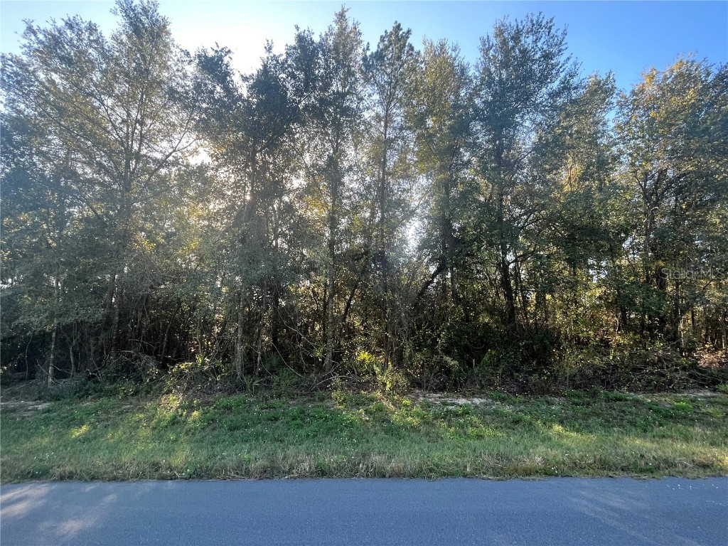 SW 27th Circle Ocala FL 34473 OK223402 image1