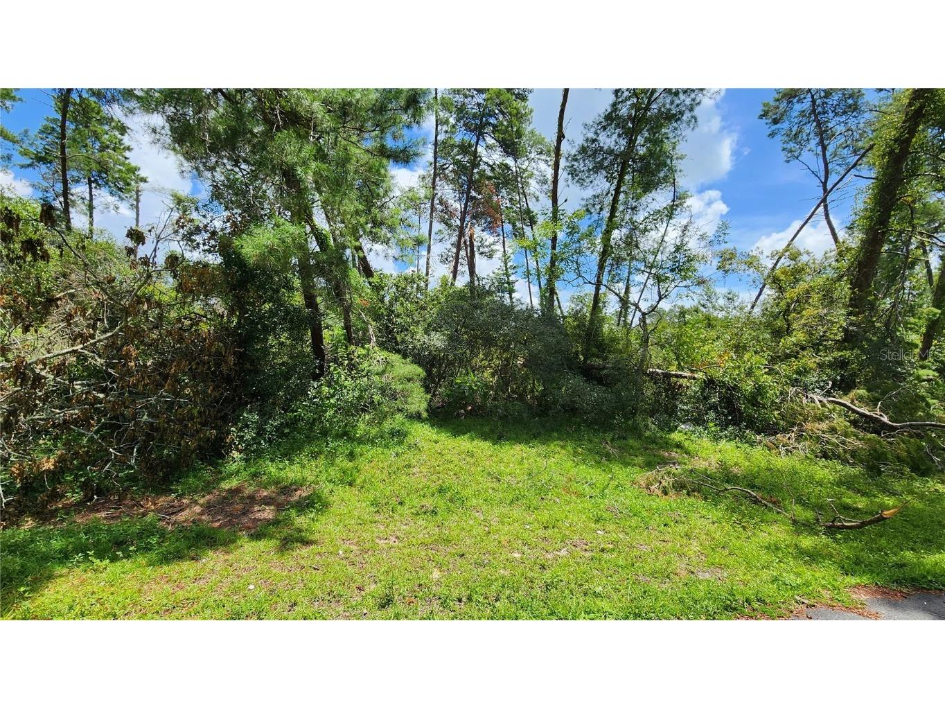 SW 27th Circle Ocala FL 34473 OM682745 image1