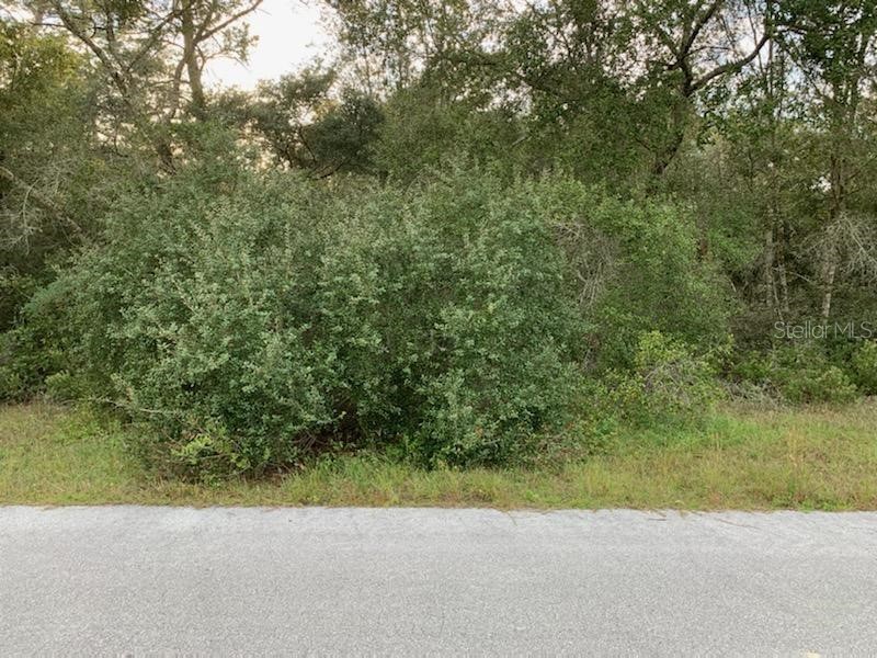 Sw 27th Court Ocala FL 34473 OM629192 image1