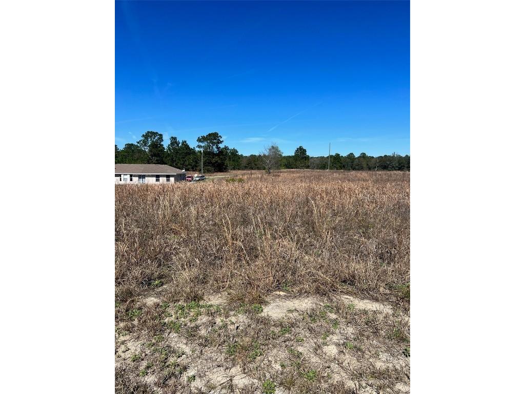 SW 27th Ocala FL 34481 S5080630 image1