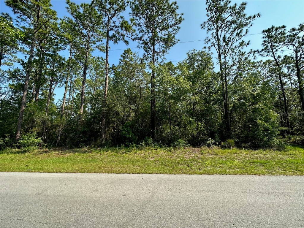 SW 27th St Dunnellon FL 34432 OM660218 image1