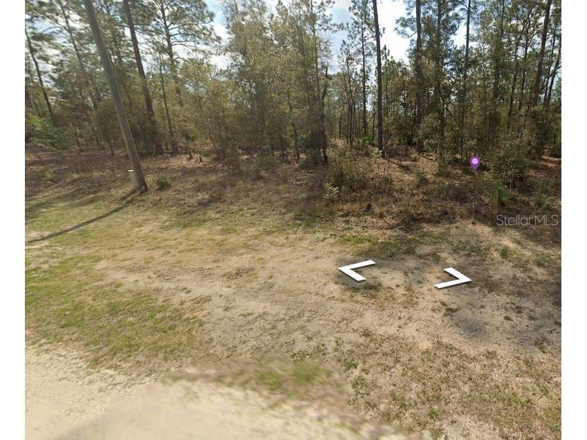 SW 28 Lane Ocala FL 34481 OM719979 image1