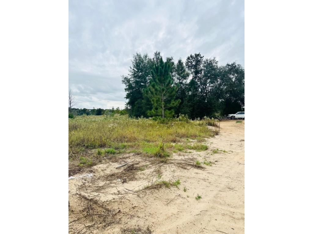 SW 28th Lane Ocala FL 34473 A4671067 image1