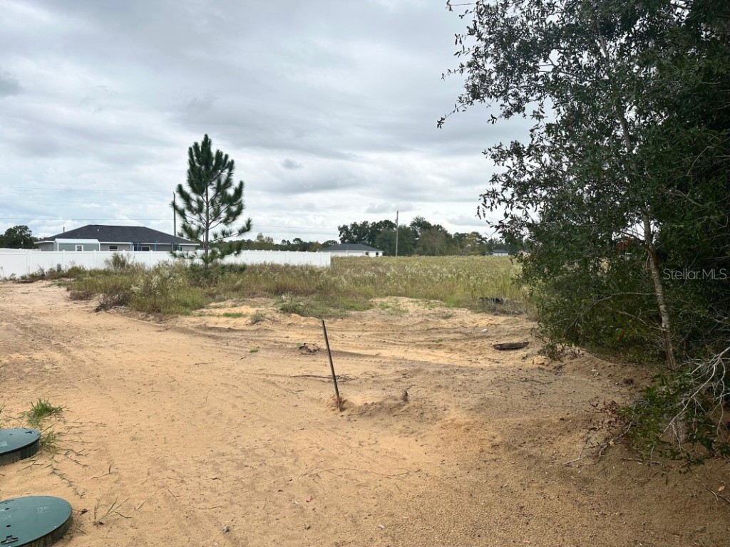 SW 28th Lane Ocala FL 34473 A4671067 image2