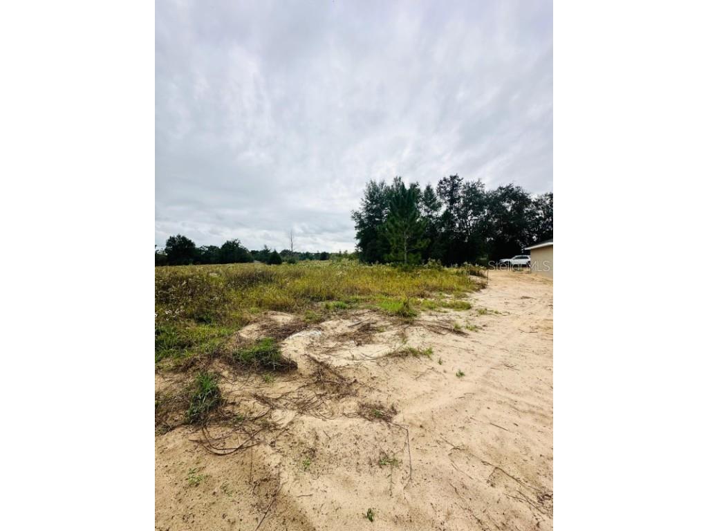 SW 28th Lane Ocala FL 34473 A4671067 image3