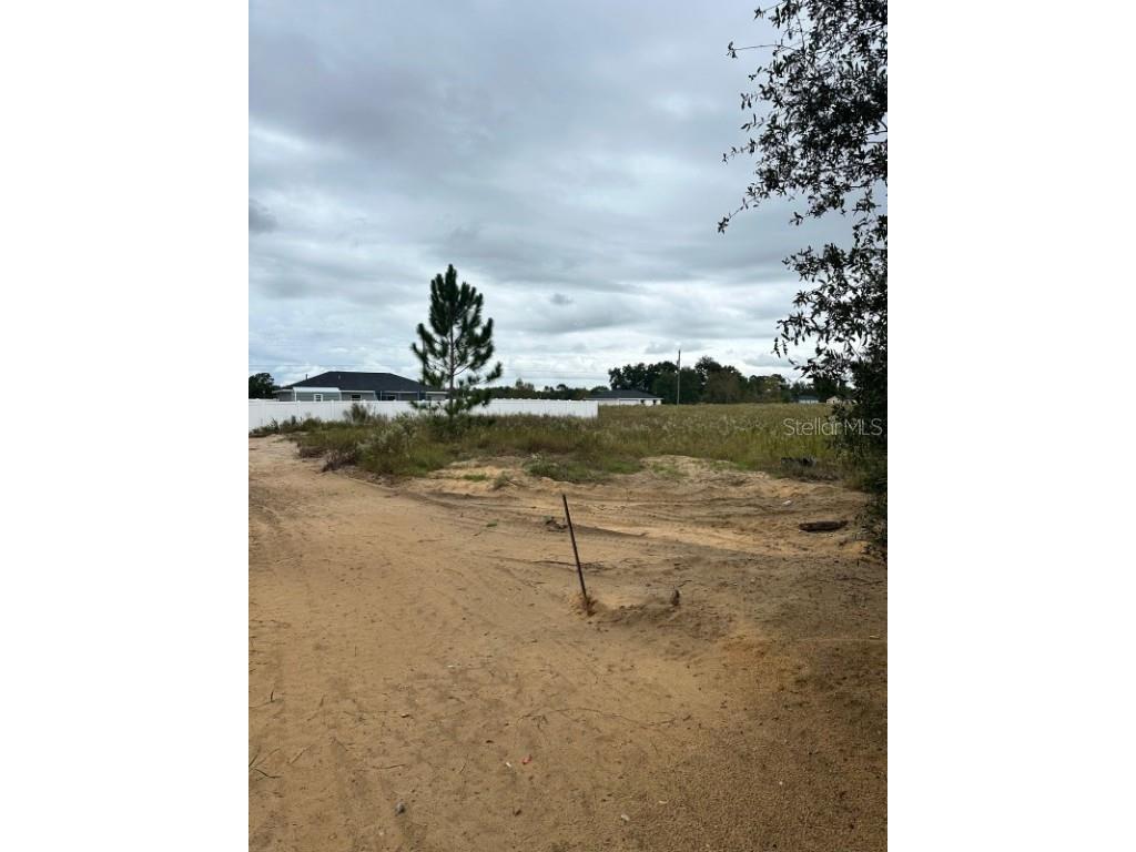 SW 28th Lane Ocala FL 34473 A4671067 image4