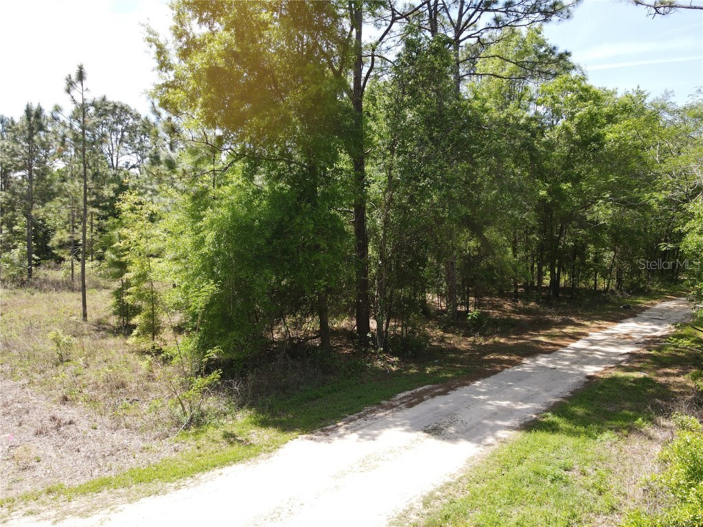 SW 29 Lane Ocala FL 34481 OM698733 image2