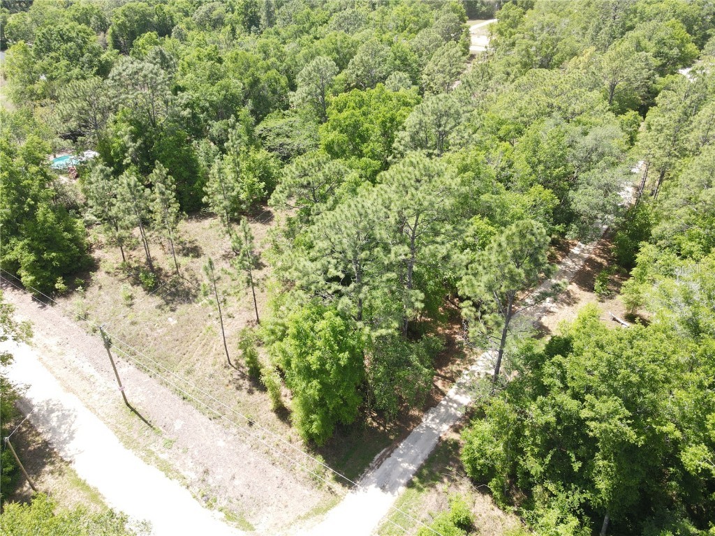 SW 29 Lane Ocala FL 34481 OM698733 image3