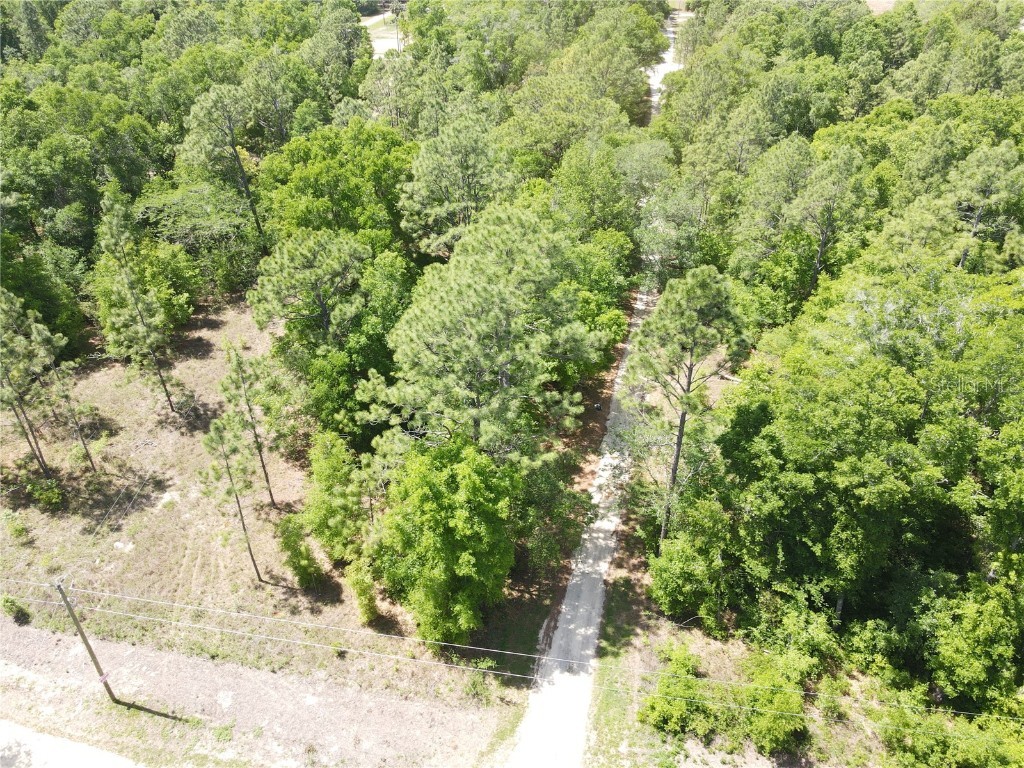 SW 29 Lane Ocala FL 34481 OM698733 image4