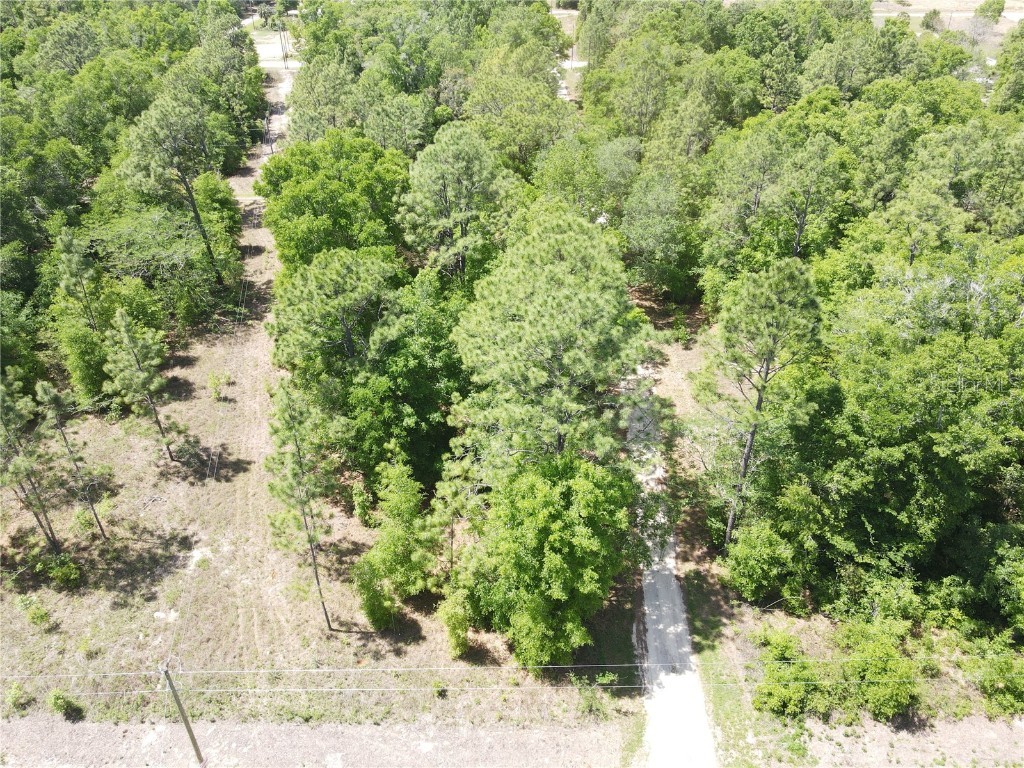 SW 29 Lane Ocala FL 34481 OM698733 image5