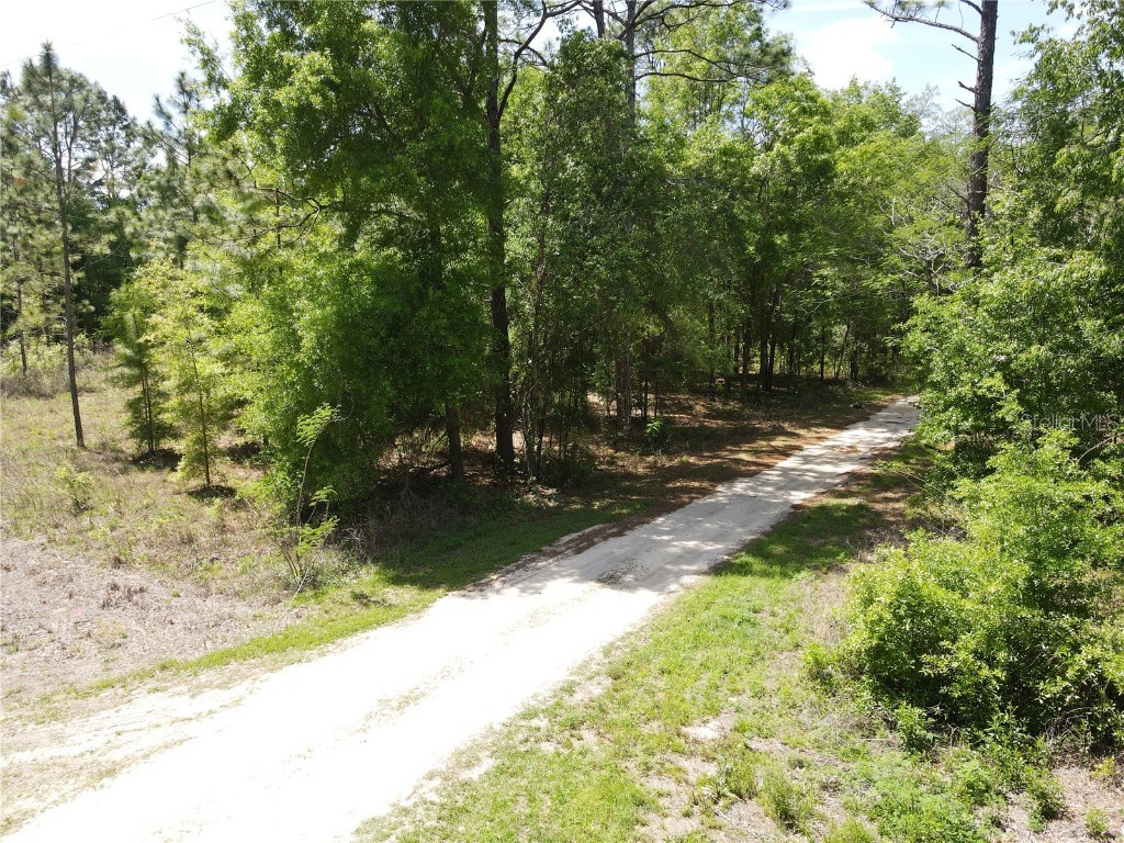 SW 29 Lane Ocala FL 34481 OM698733 image6