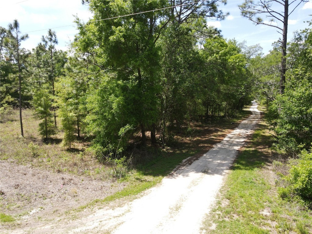 SW 29 Lane Ocala FL 34481 OM698733 image8
