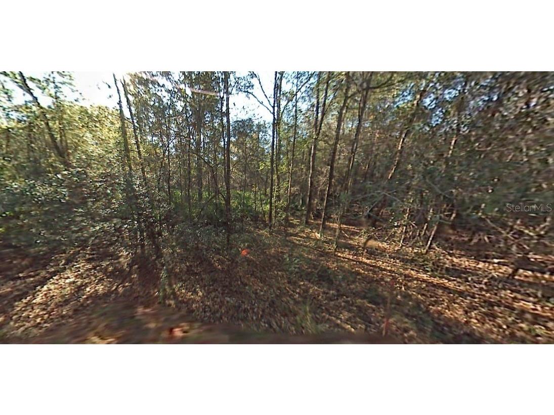 SW 29th Street Ocala FL 34481 OM708260 image1