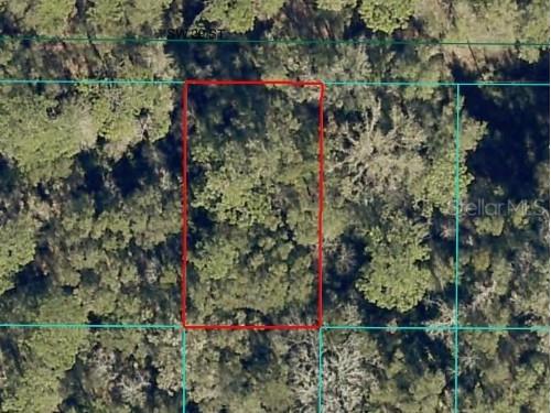 SW 29th Street Ocala FL 34481 OM708260 image2