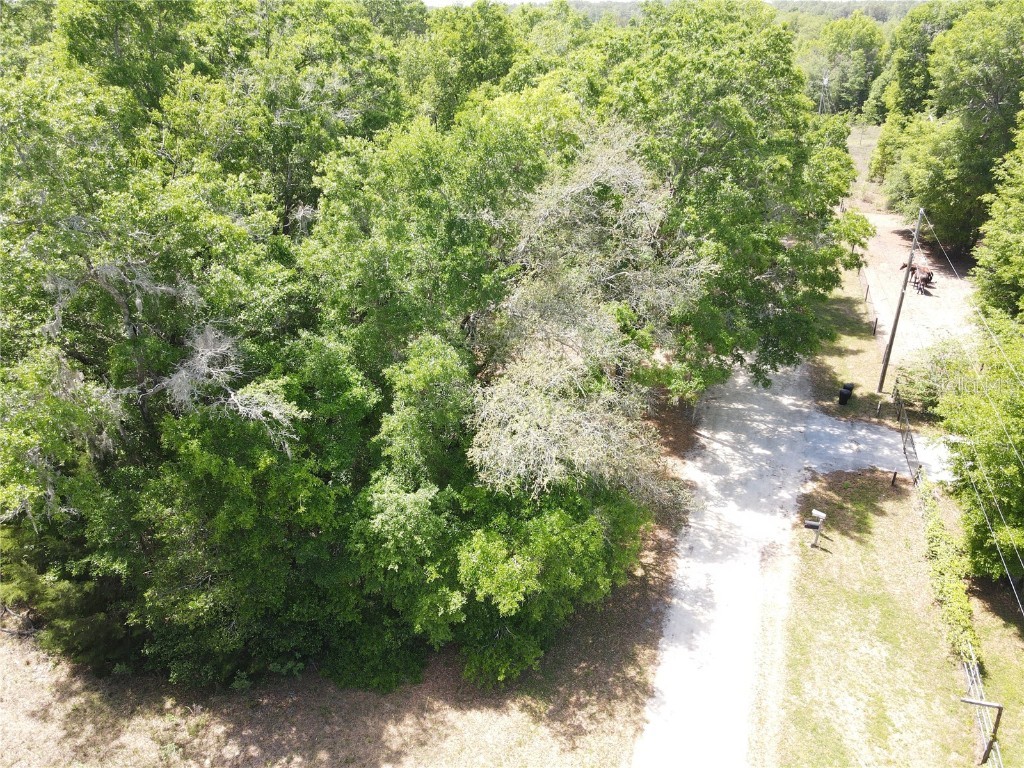 SW 30 Place Ocala FL 34481 OM698732 image3