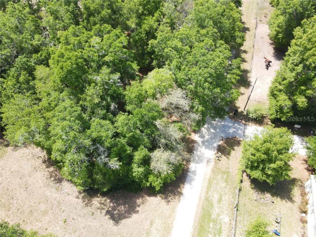 SW 30 Place Ocala FL 34481 OM698732 image4