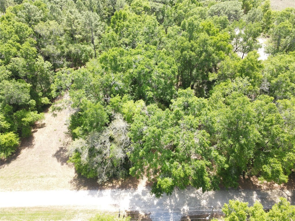 SW 30 Place Ocala FL 34481 OM698732 image5