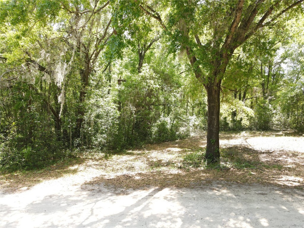 SW 30 Place Ocala FL 34481 OM698732 image6