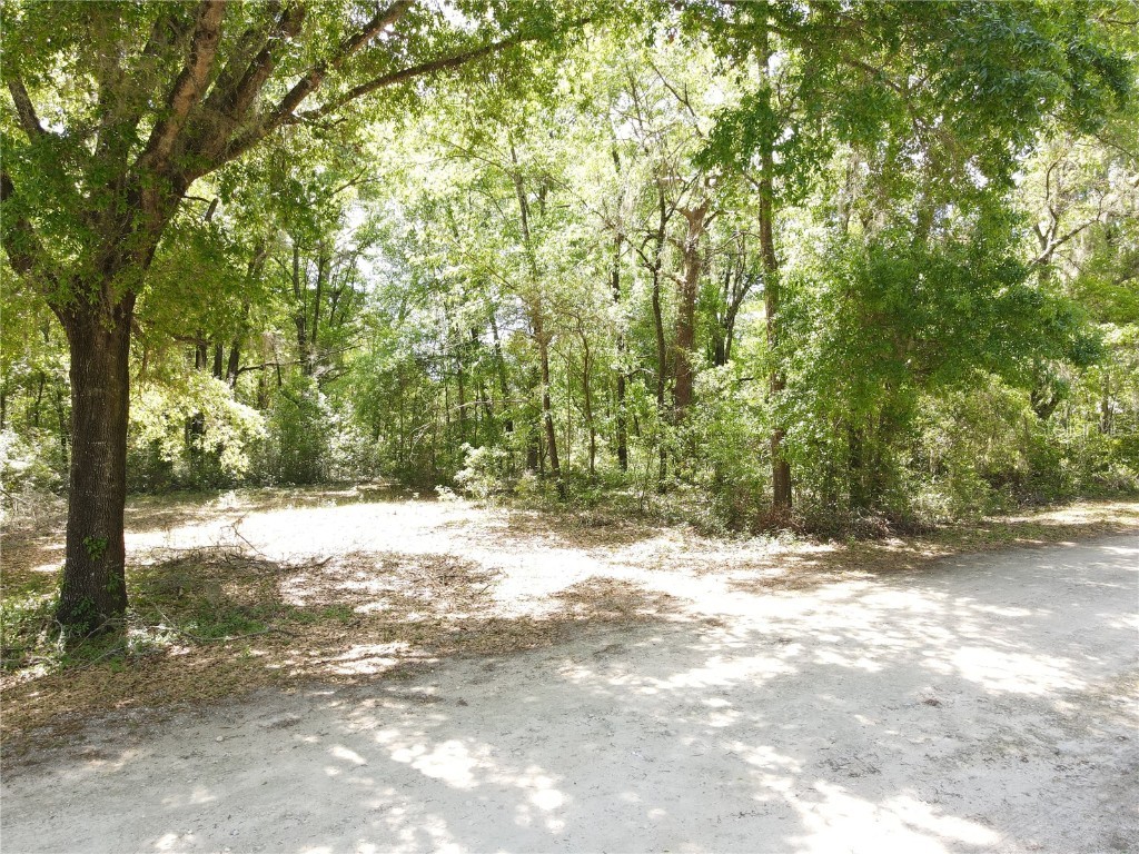 SW 30 Place Ocala FL 34481 OM698732 image8