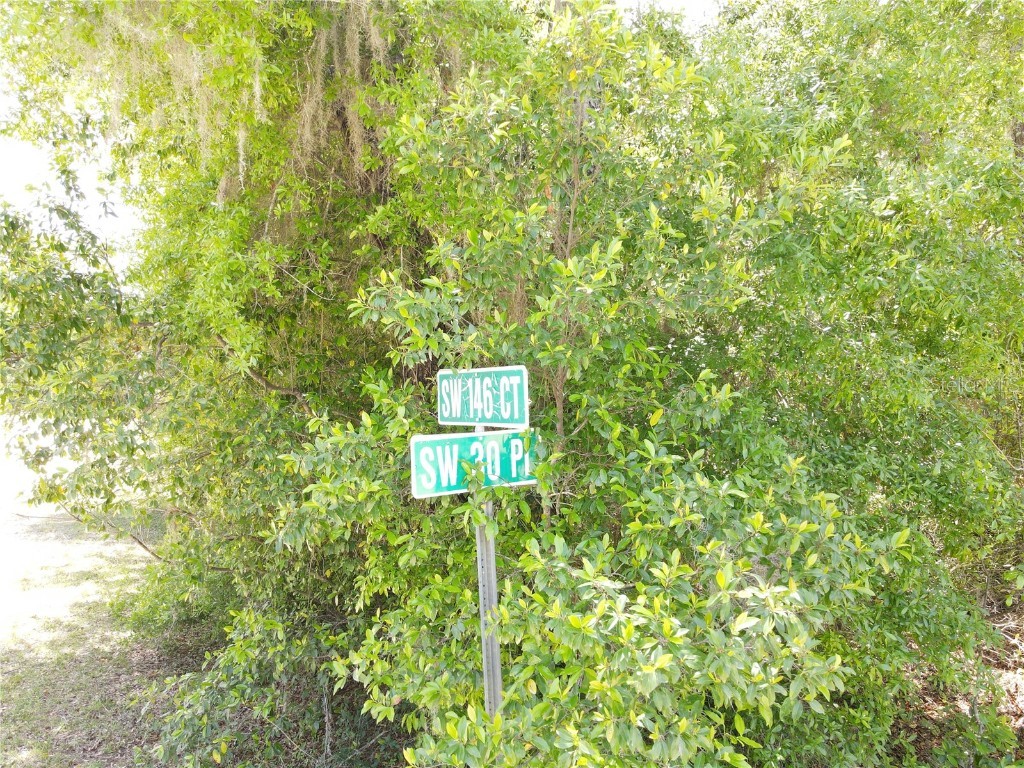 SW 30 Place Ocala FL 34481 OM698732 image9