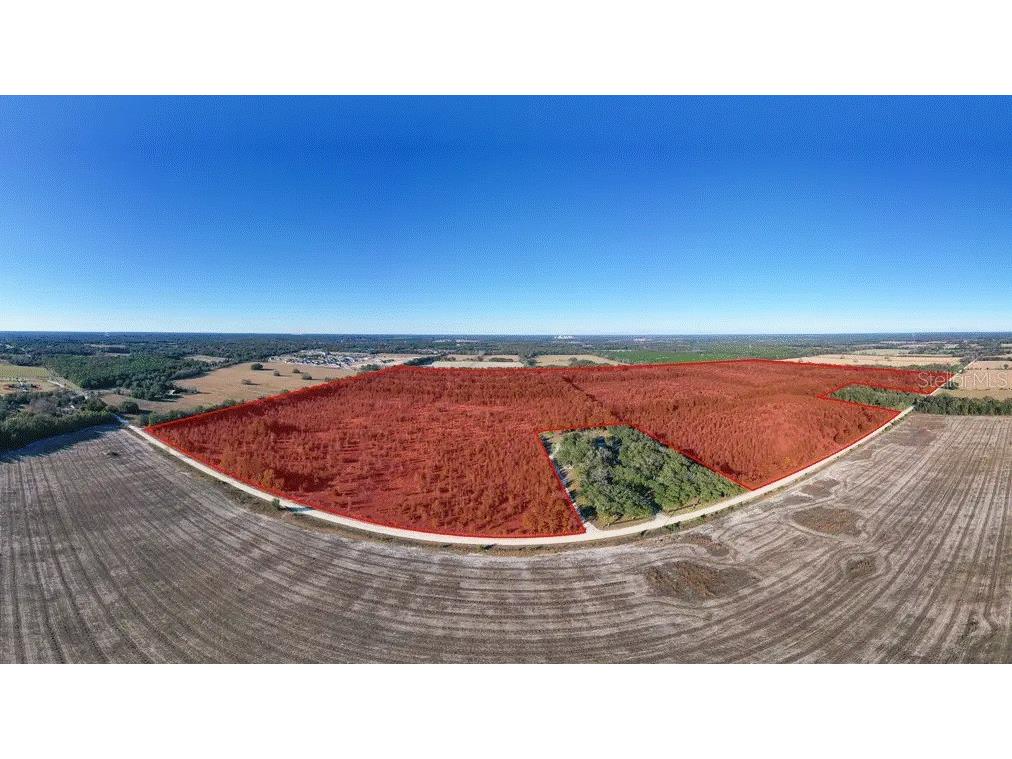 SW 30th Avenue Newberry FL 32669 O6067361 image4