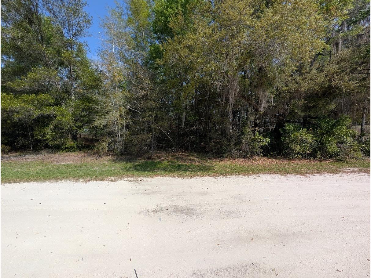 SW 30th Place Ocala FL 34481 TB8490483 image1