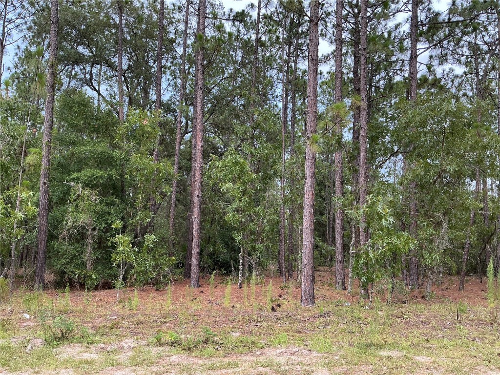 SW 30th Street Ocala FL 34481 OM682438 image1