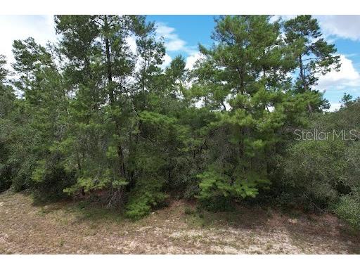 SW 30th Ter Ocala FL 34473 O6134565 image1