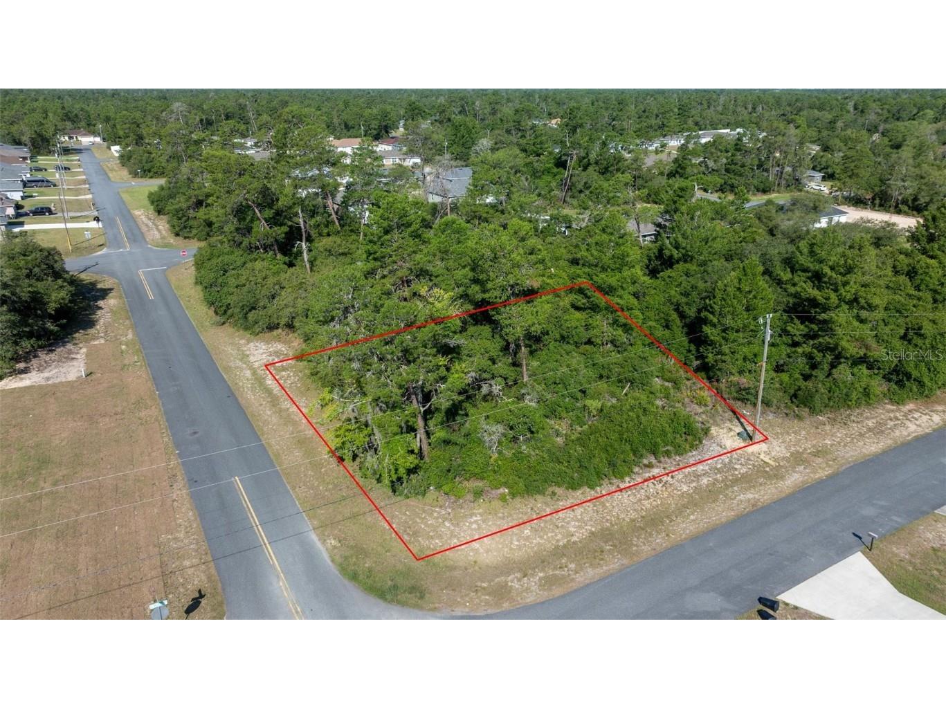 SW 31st Circle Ocala FL 34473 OM679727 image1