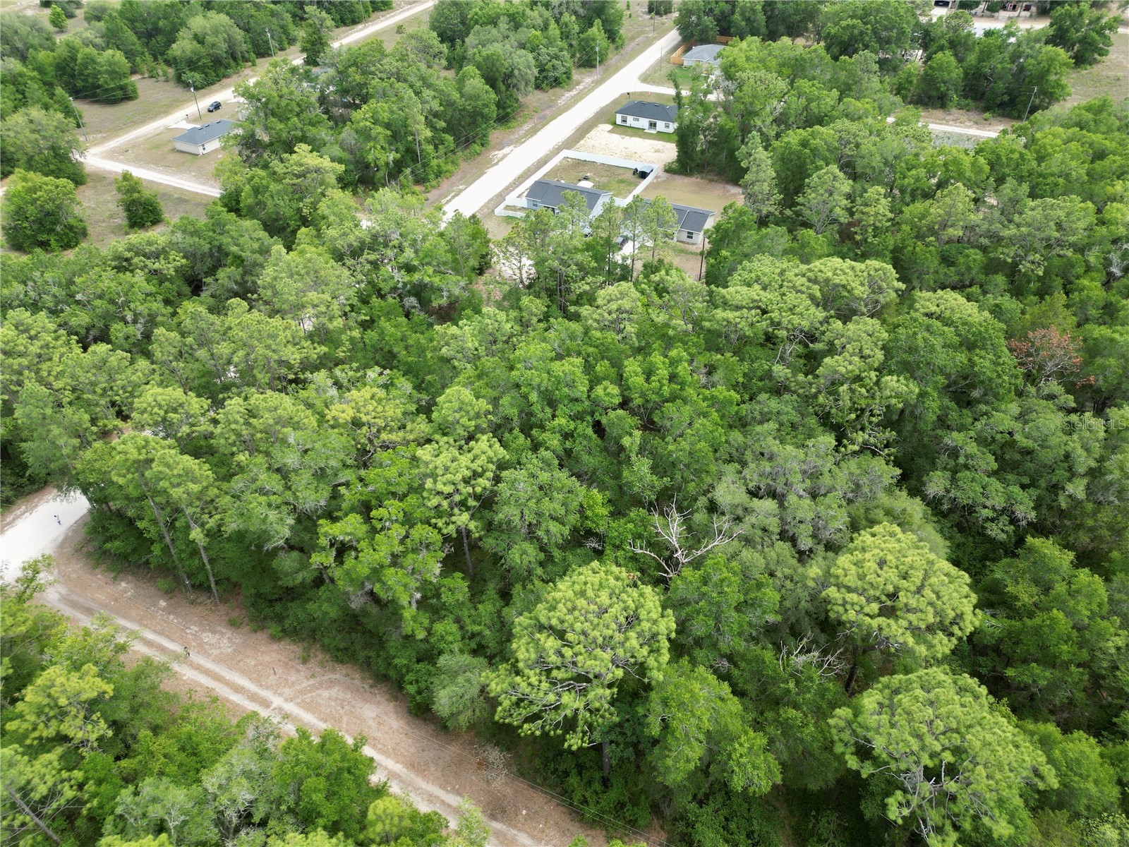 Sw 31st Pl Ocala FL 34481 OM724603 image2