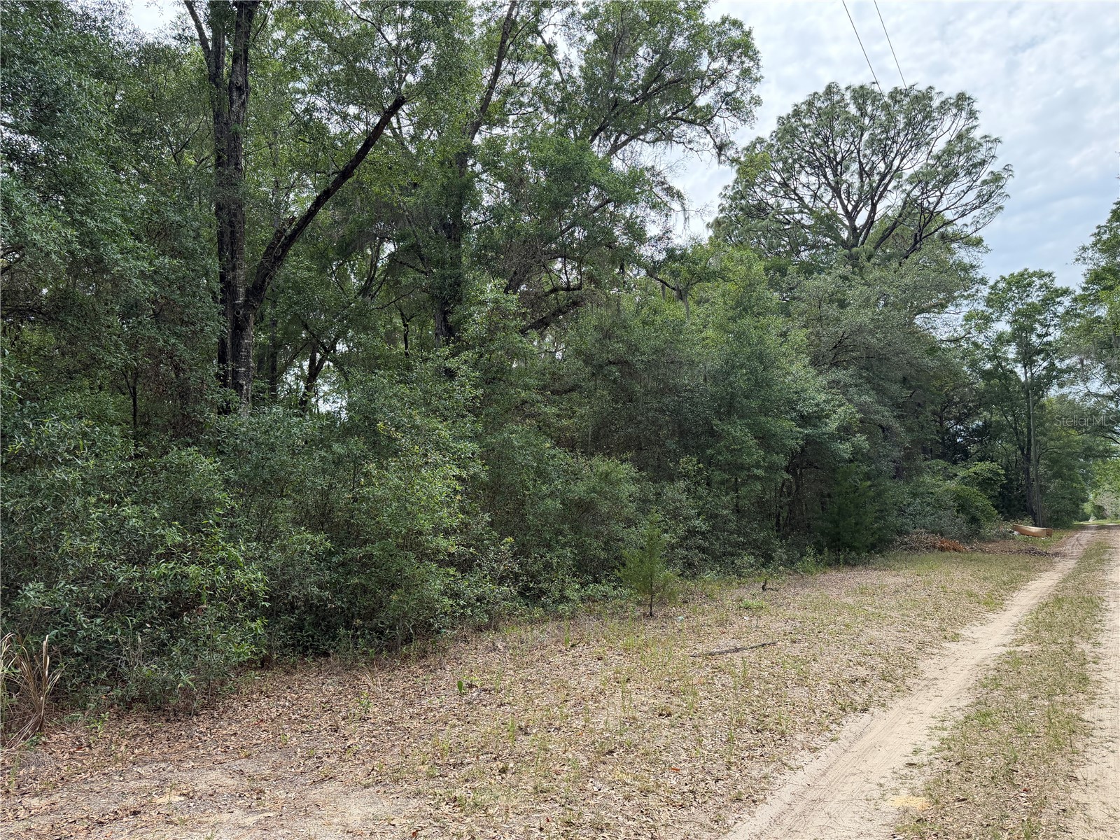 Sw 31st Pl Ocala FL 34481 OM724603 image3
