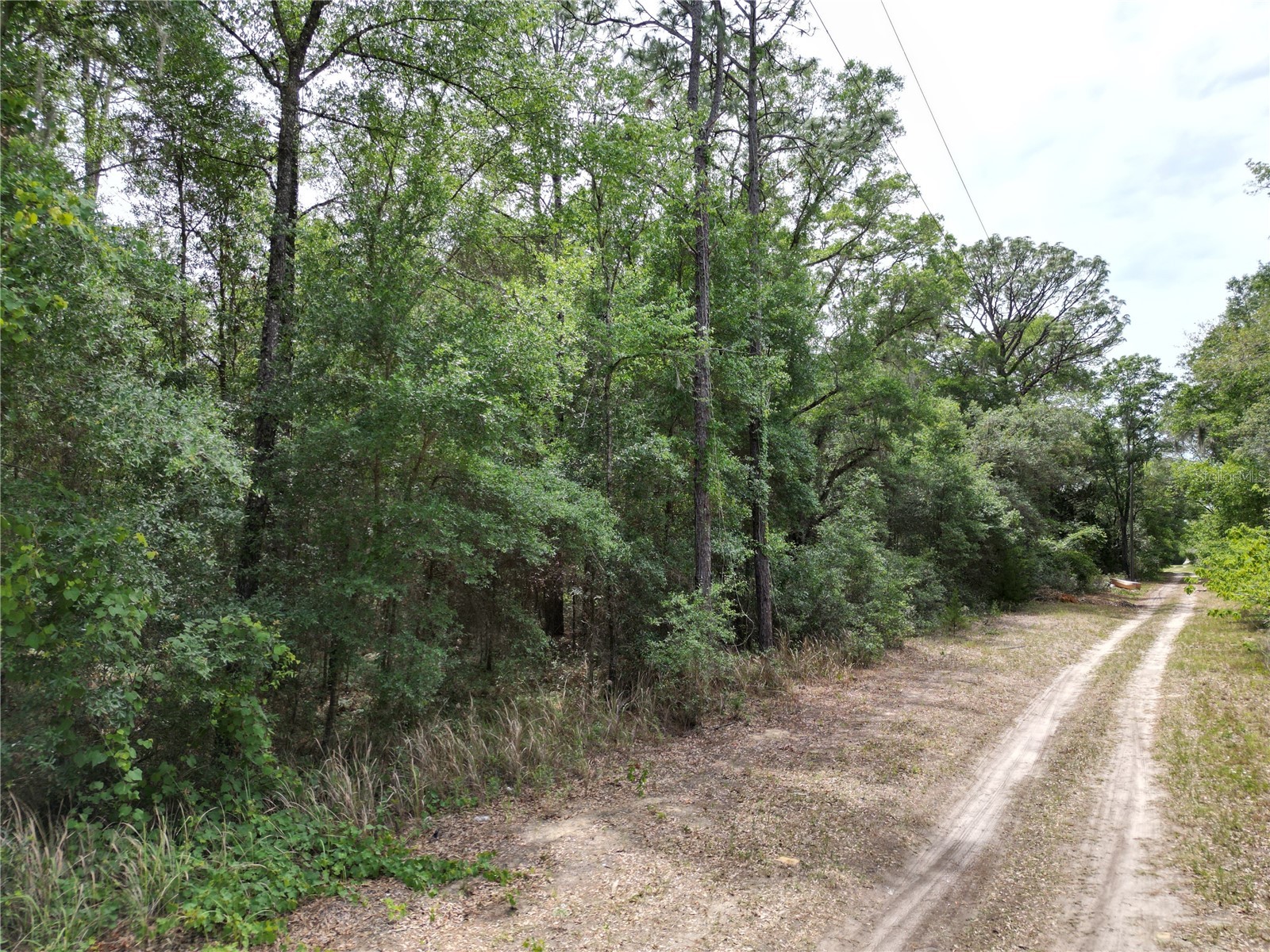Sw 31st Pl Ocala FL 34481 OM724603 image4