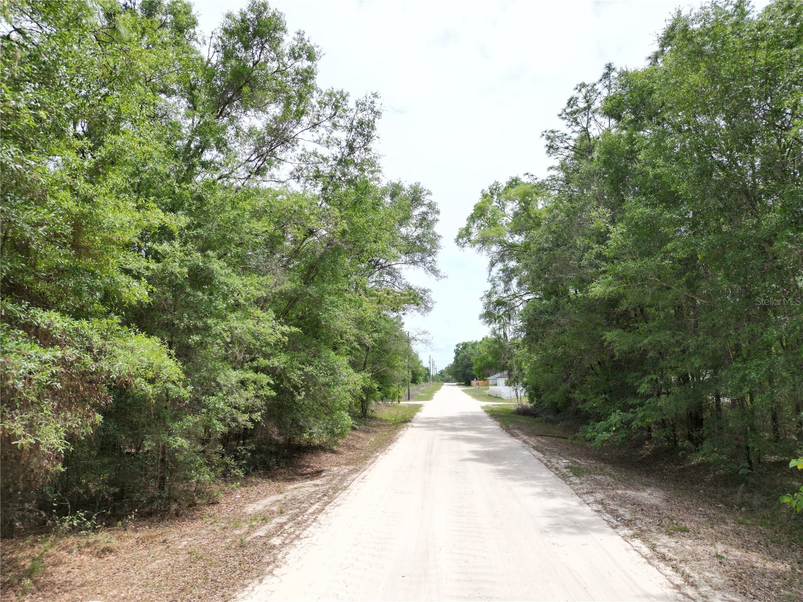 Sw 31st Pl Ocala FL 34481 OM724603 image6