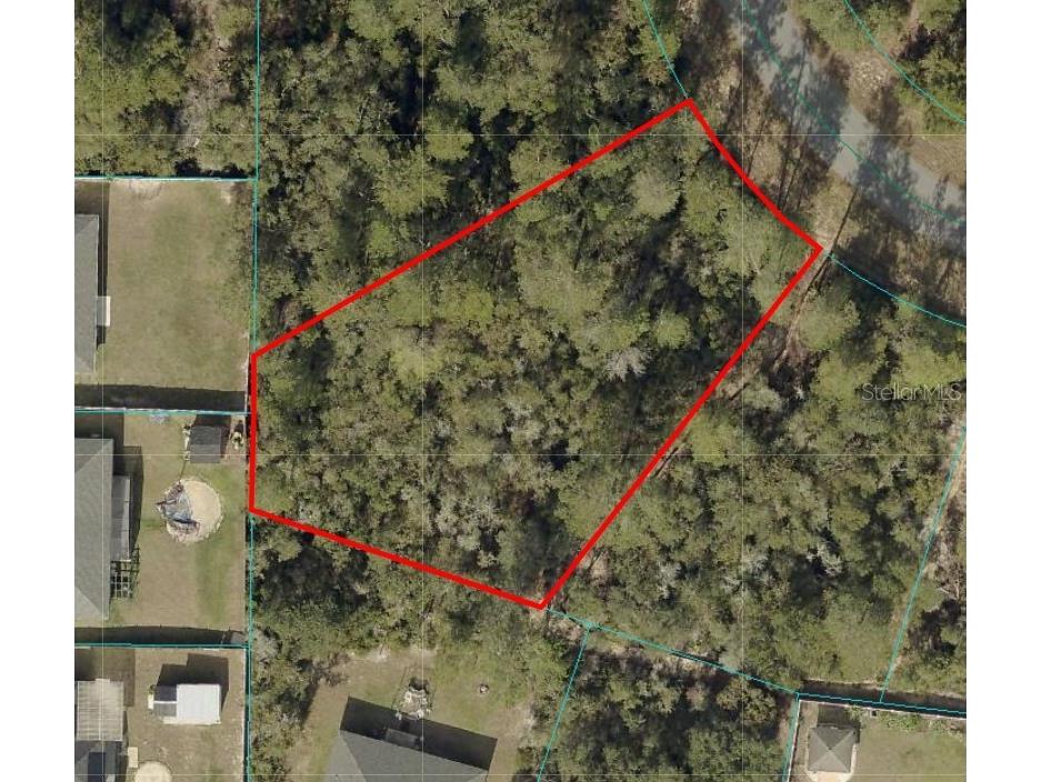 SW 31st Terrace Road Ocala FL 34473 S5130446 image1