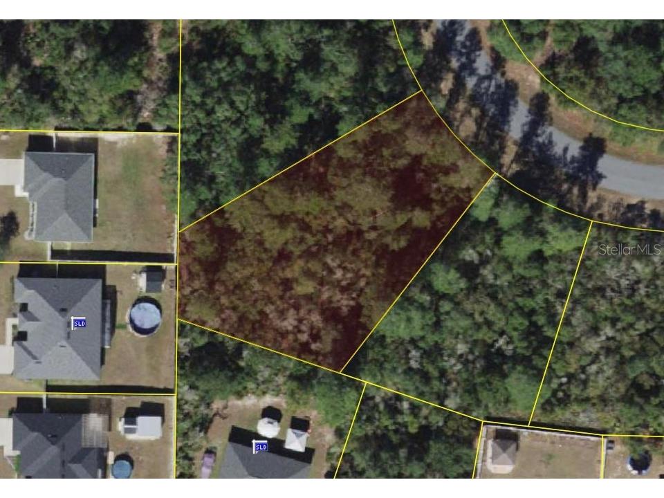 SW 31st Terrace Road Ocala FL 34473 S5130446 image2