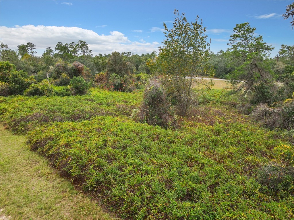 SW 32nd Circle Ocala FL 34473 TB8436644 image10